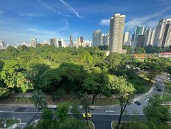 Three Balmoral (D10), Apartment #460958841